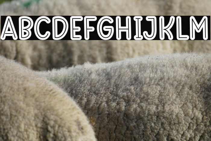 Best School Outline Example 3