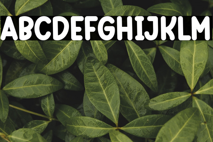 Best School Example 2