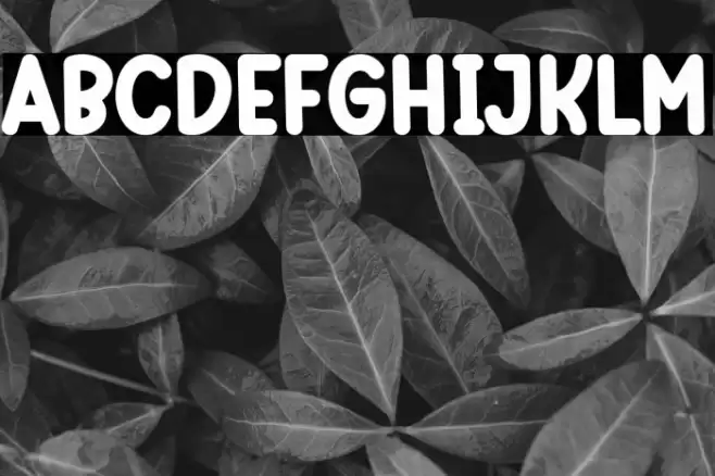 Best School Font examples