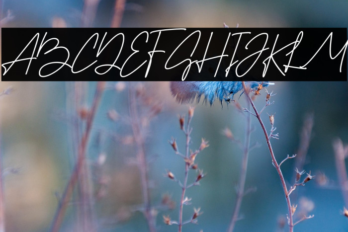 Best Stories Example 1