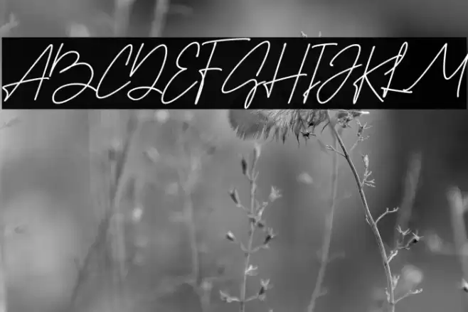 Best Stories Font examples