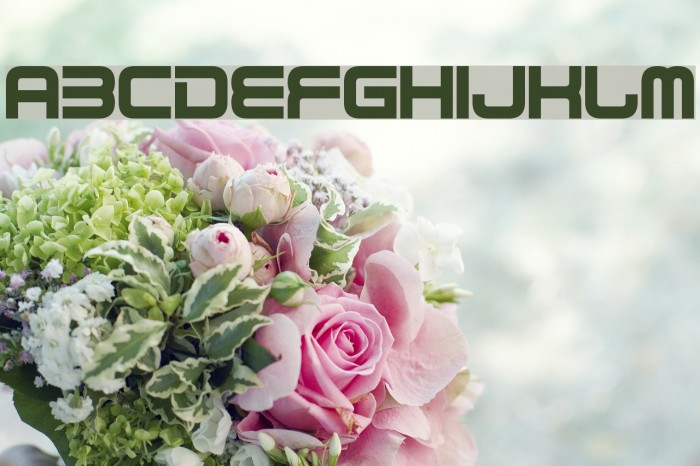 Best Tease Font examples