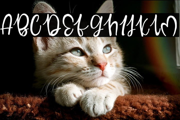 Best Valentine Example 3