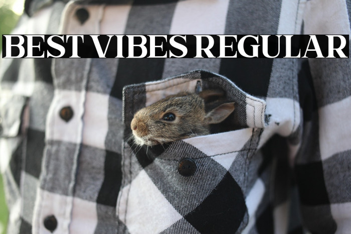 Best Vibes Regular Example 2