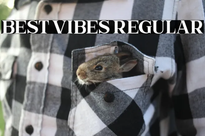 Best Vibes Regular Example 2