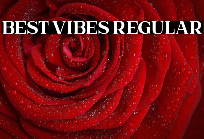 Best Vibes Regular Example 3
