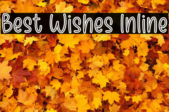 Best Wishes Inline Example 1