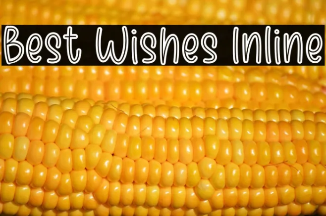 Best Wishes Inline Example 2