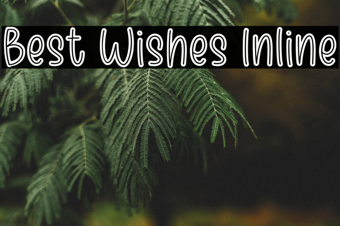 Best Wishes Inline Example 3