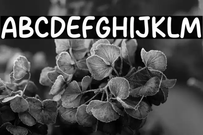 Best Work Font examples