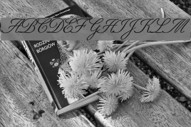 BestDB Normal Font examples