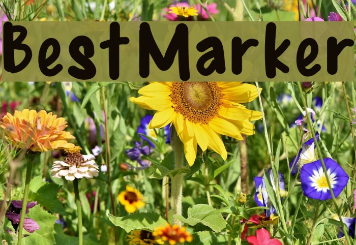 BestMarker Font examples