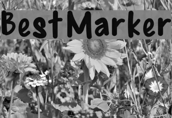 BestMarker  examples