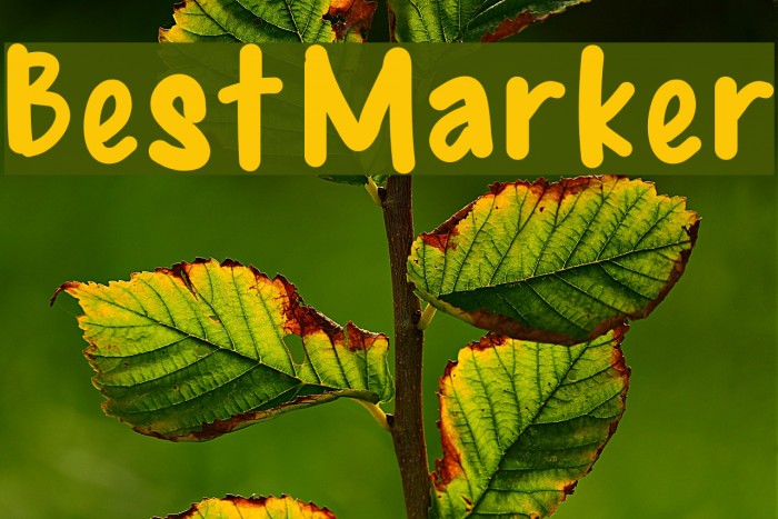 BestMarker Font examples