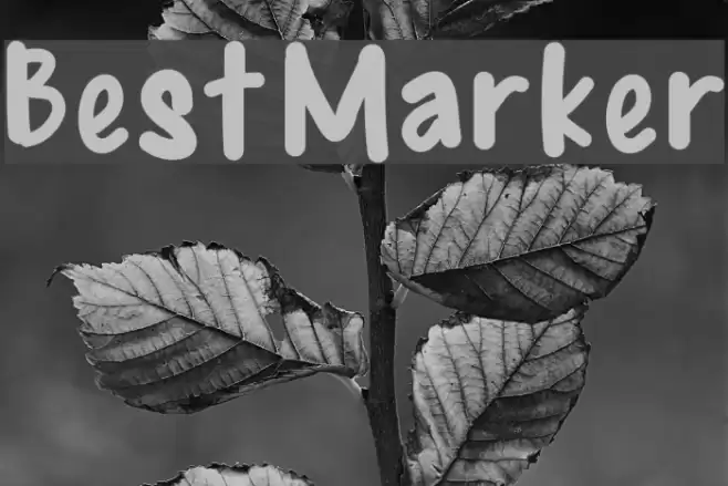 BestMarker  examples