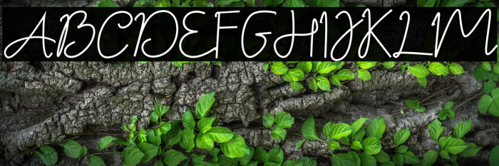 BestSignatureFont Example 2