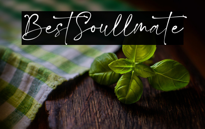 BestSoullmate Example 2