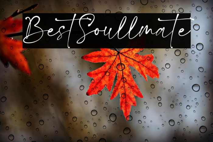 BestSoullmate Example 3