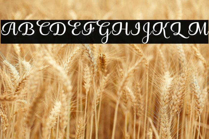 BestValentina Example 1