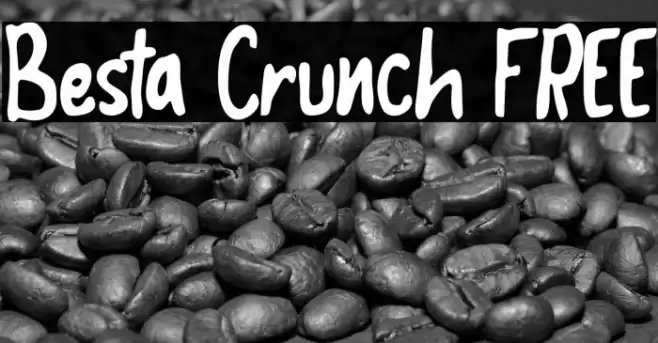 Besta Crunch FREE Polices examples