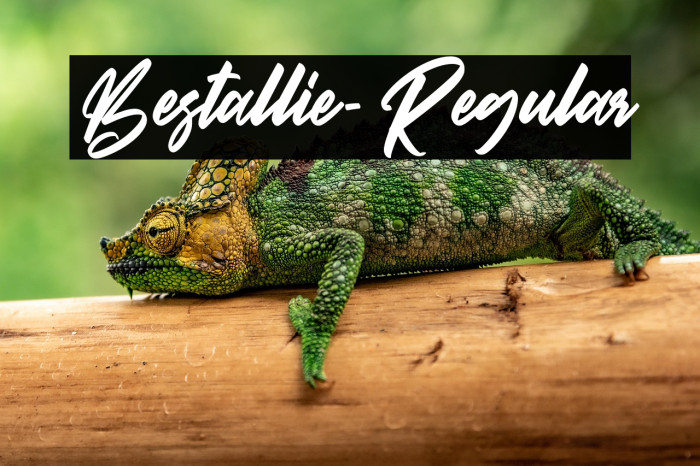 Bestallie-Regular Example 1