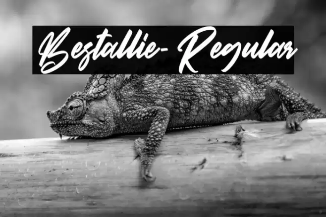 Bestallie-Regular Schriftart examples