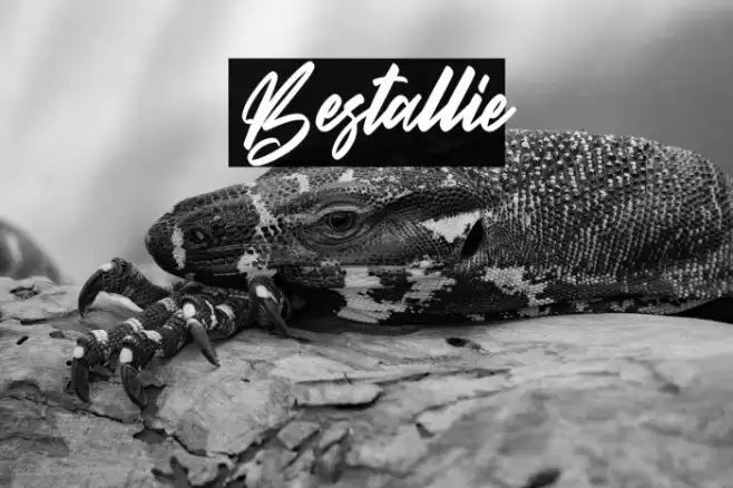 Bestallie 字体 examples