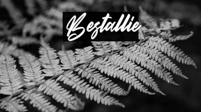 Bestallie 字体 examples