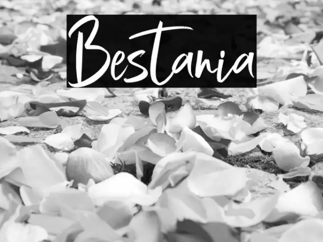 Bestania Font examples