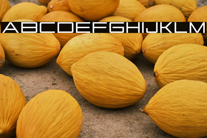 BestariTrial Example 2