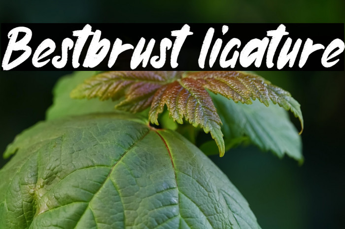 Bestbrust ligature Example 3