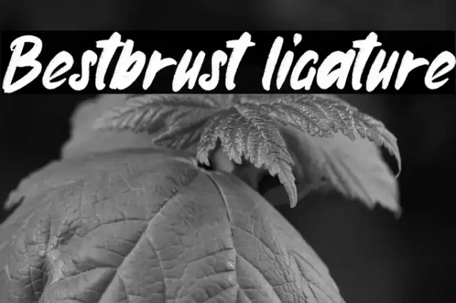 Bestbrust ligature Font examples