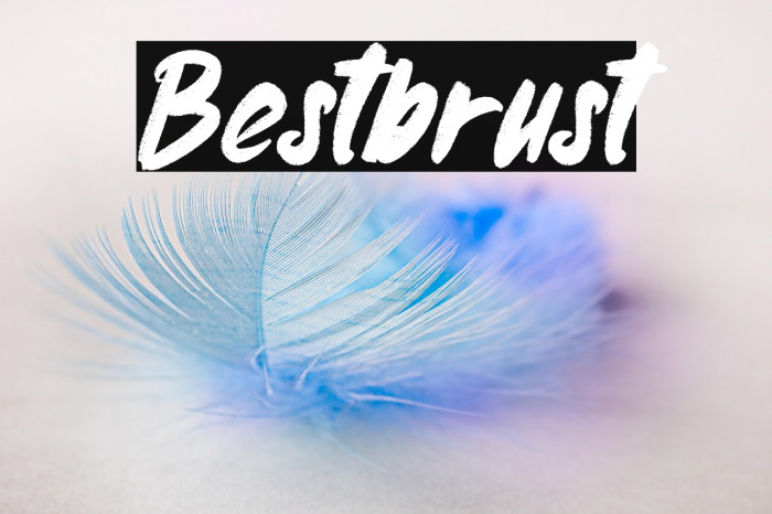 Bestbrust Example 1