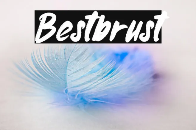 Bestbrust Example 1