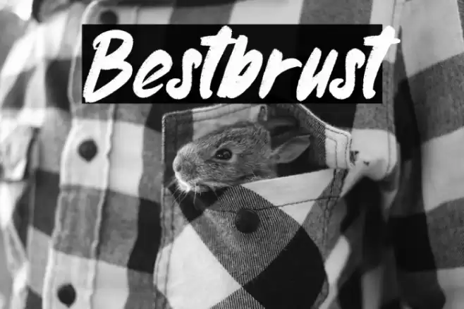 Bestbrust Font examples