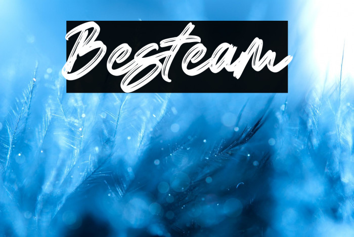 Besteam Example 2