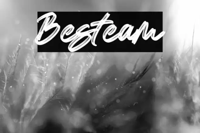 Besteam Шрифта examples