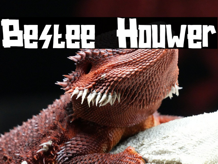 Bestee Houwer Example 1