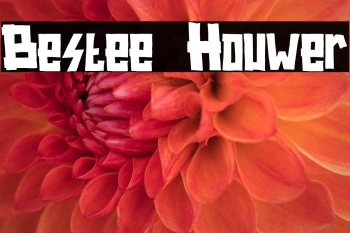 Bestee Houwer Example 3