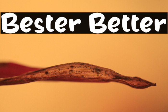 Bester Better Example 3