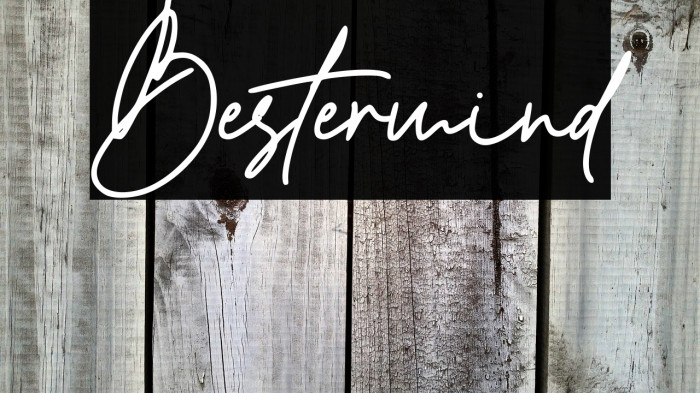 Bestermind Example 1