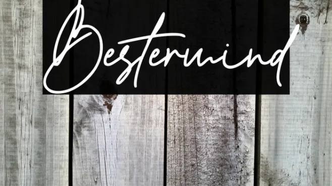 Bestermind Example 1