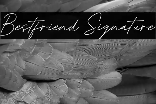 Bestfriend Signature Font examples