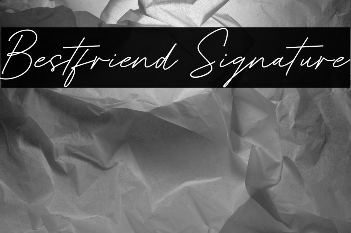 Bestfriend Signature Example 2