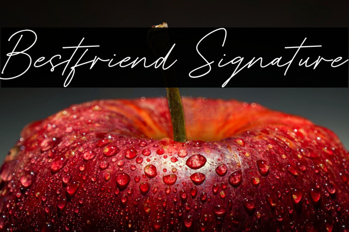 Bestfriend Signature Example 3