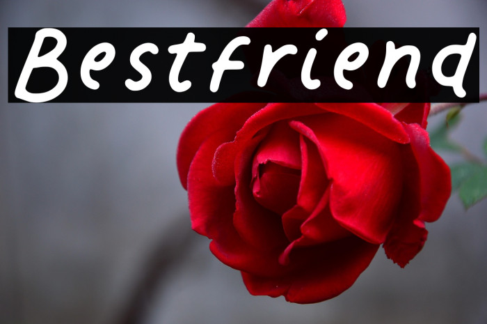 Bestfriend Example 1