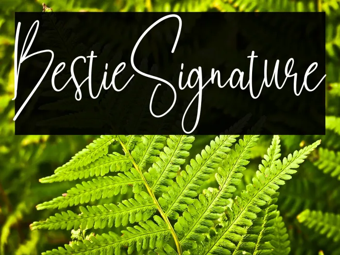 Bestie Signature Example 1