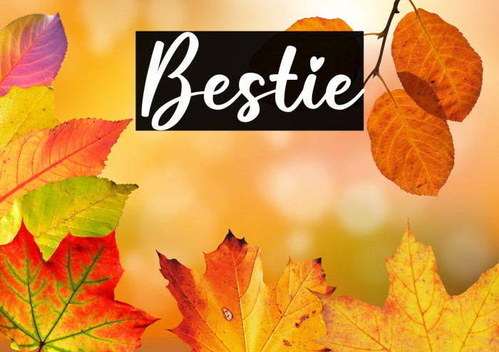 Bestie Example 3