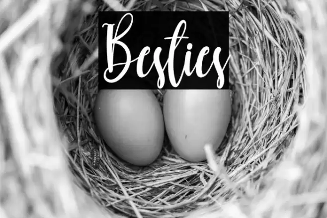 Besties Fuentes examples