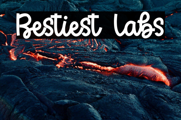 Bestiest Labs Example 1